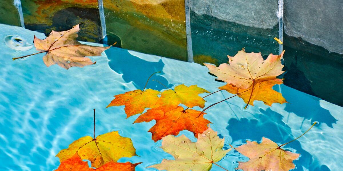piscina otoño