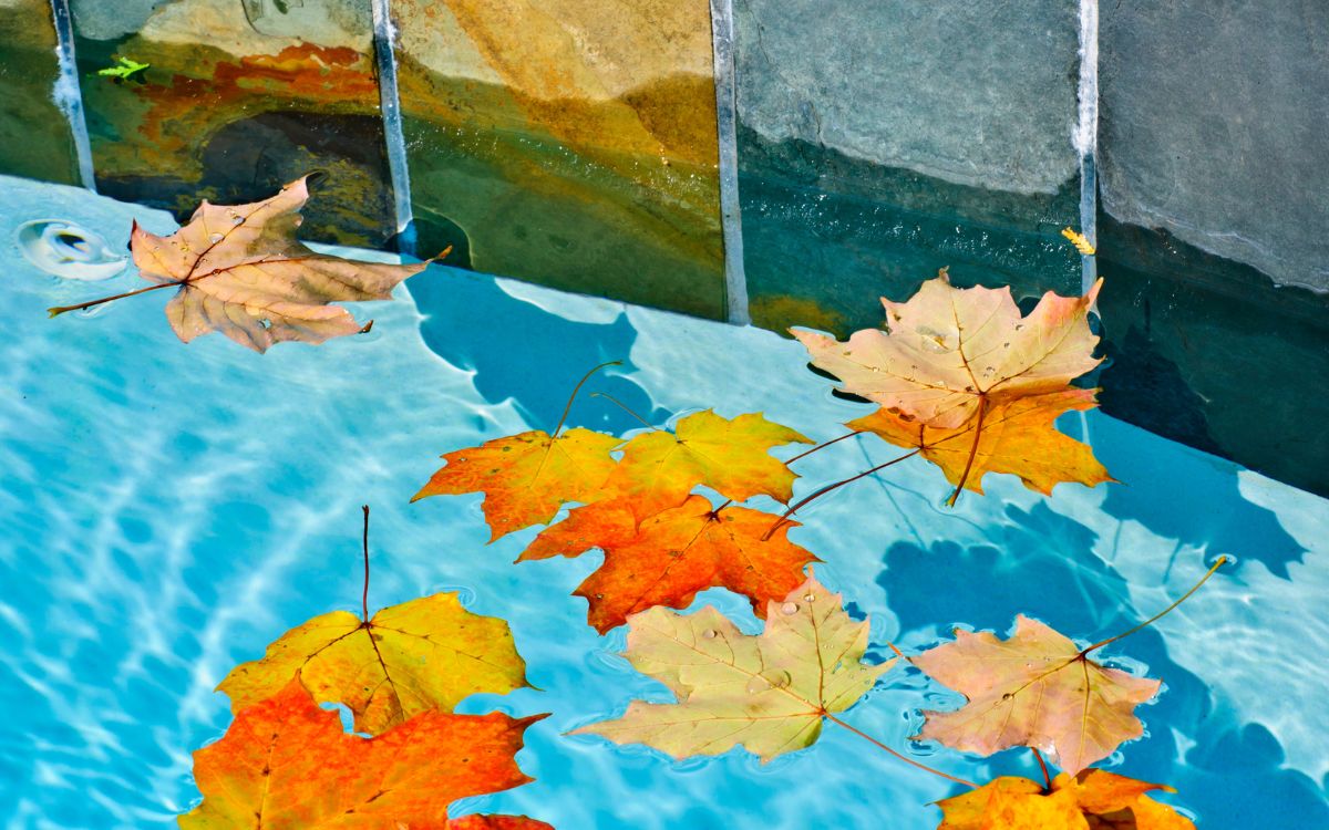 piscina otoño