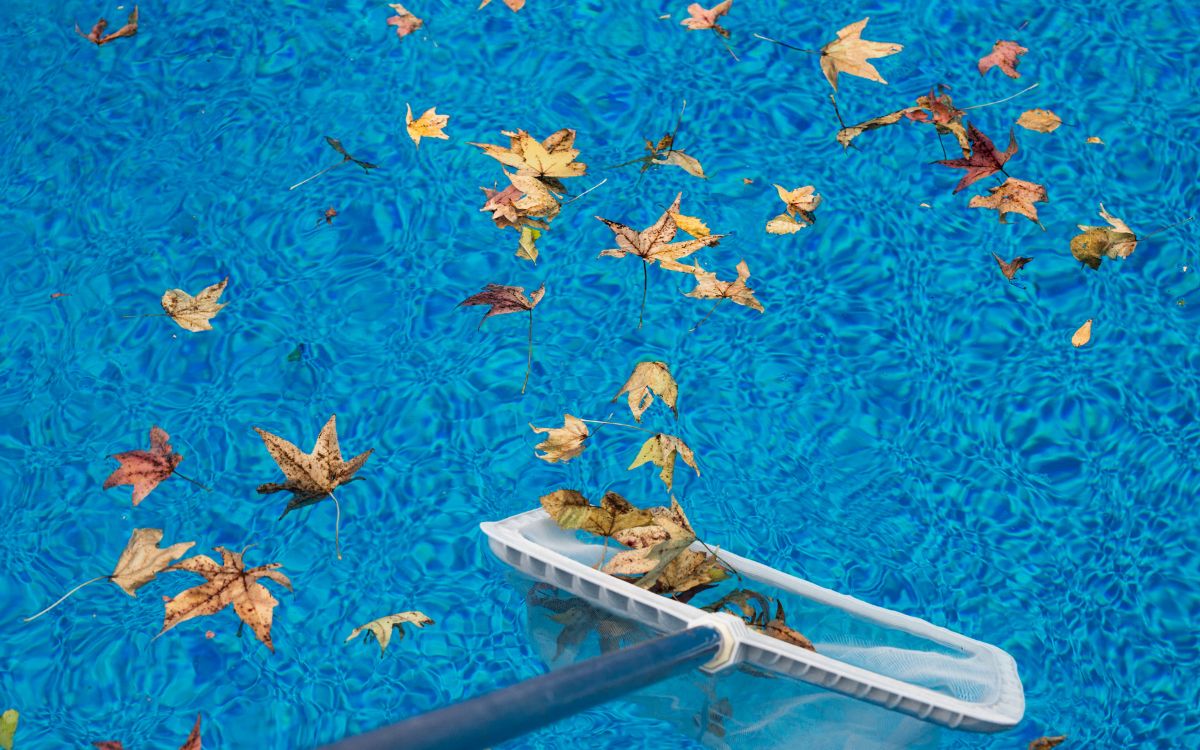 piscina otoño