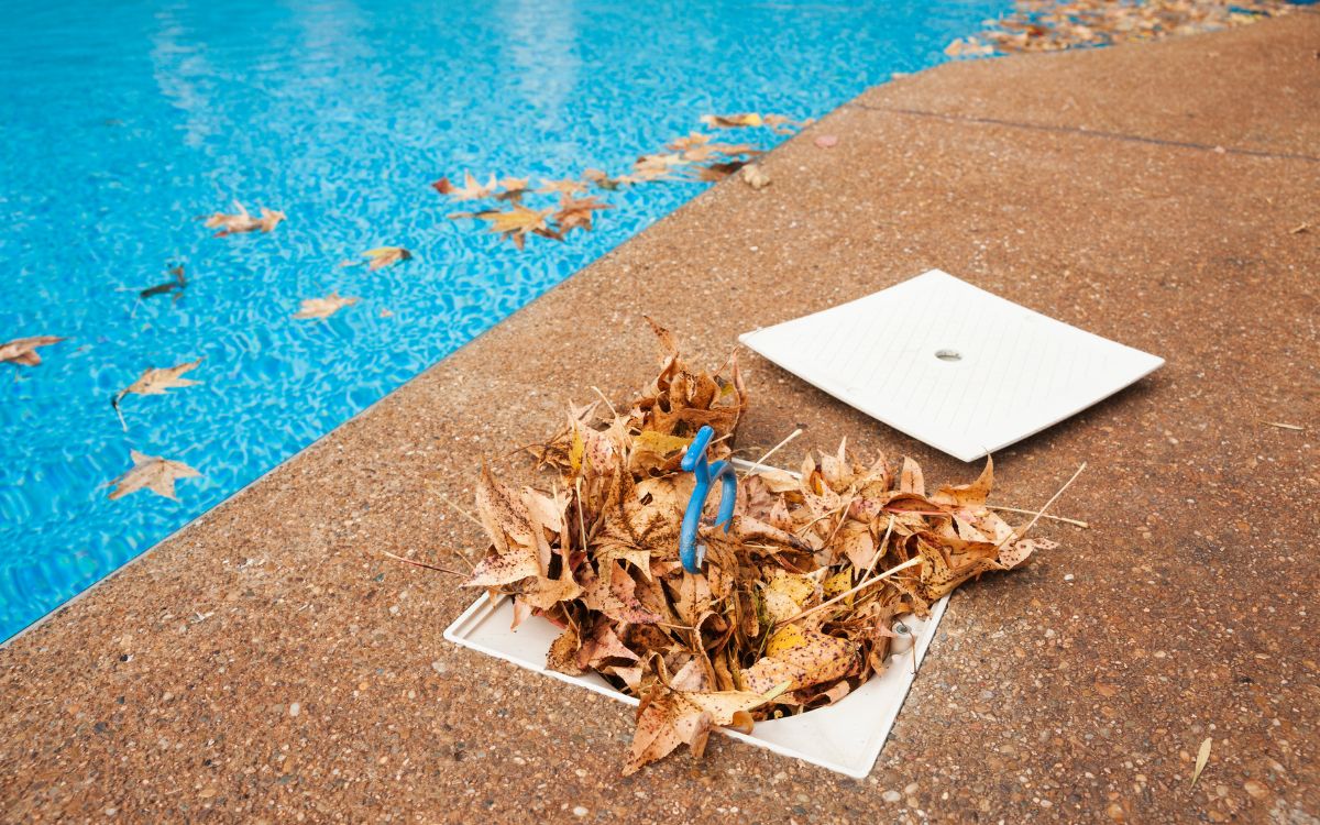 piscina otoño
